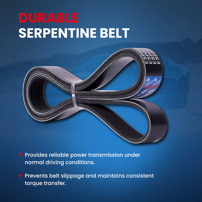 MOCA Serpentine Belt - ESP0492