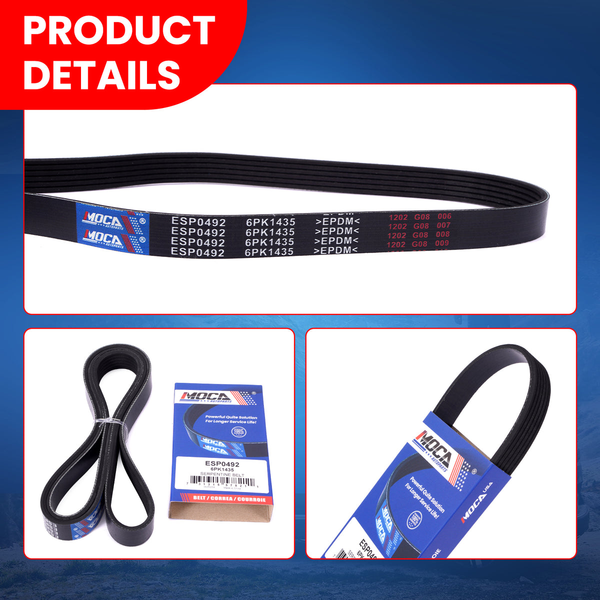 MOCA Serpentine Belt - ESP0492