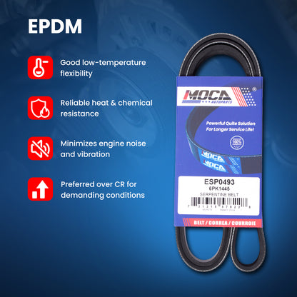 MOCA Serpentine Belt - ESP0493