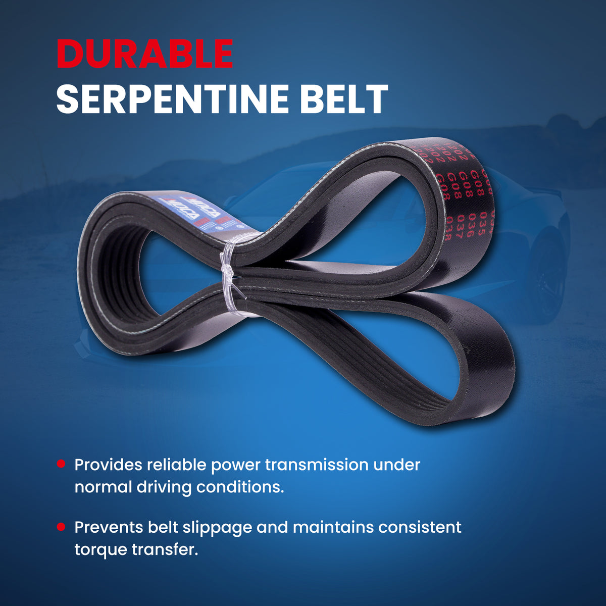 MOCA Serpentine Belt - ESP0493