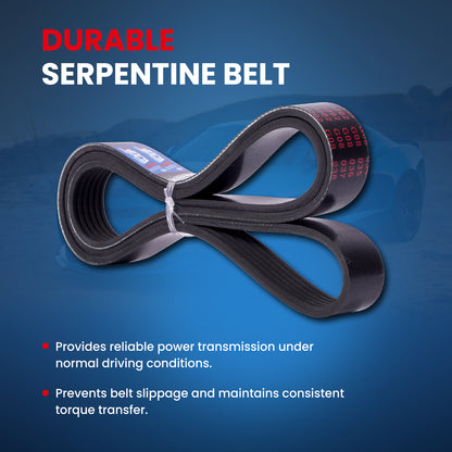 MOCA Serpentine Belt - ESP0493