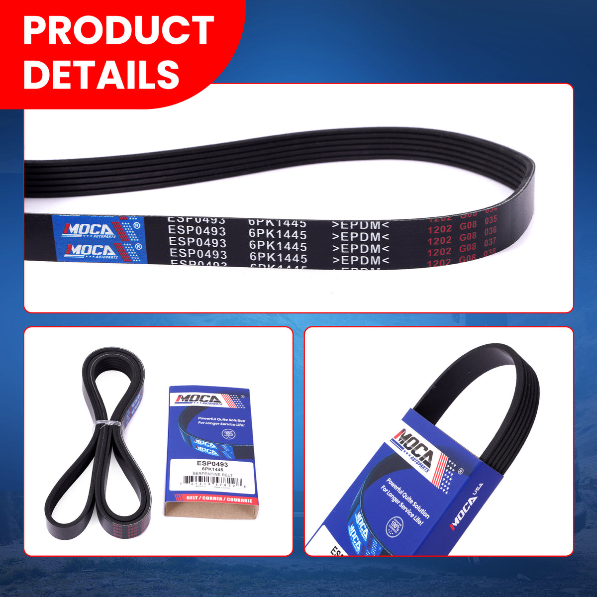 MOCA Serpentine Belt - ESP0493