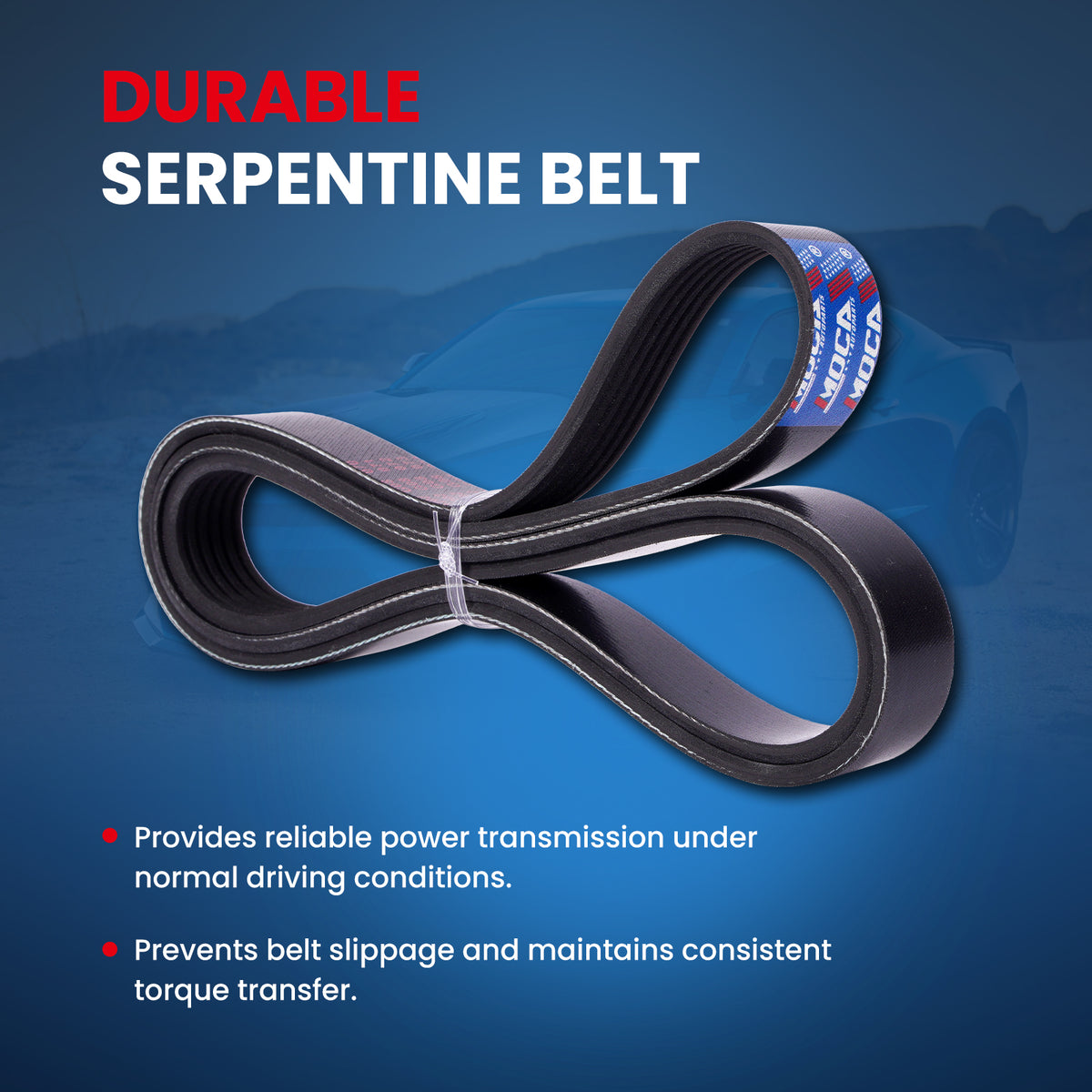 MOCA Serpentine Belt - ESP0496