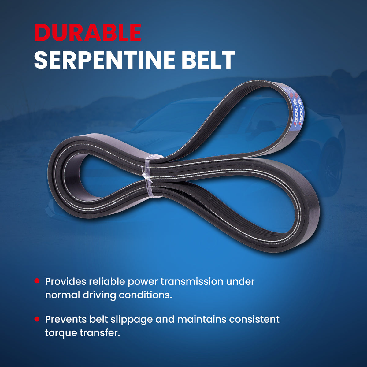 MOCA Serpentine Belt - ESP0497