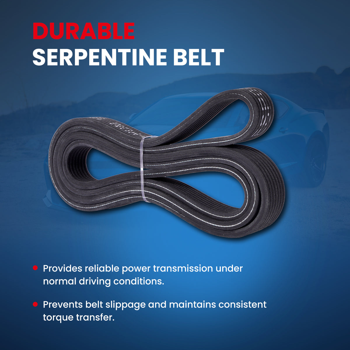 MOCA Serpentine Belt - ESP0498
