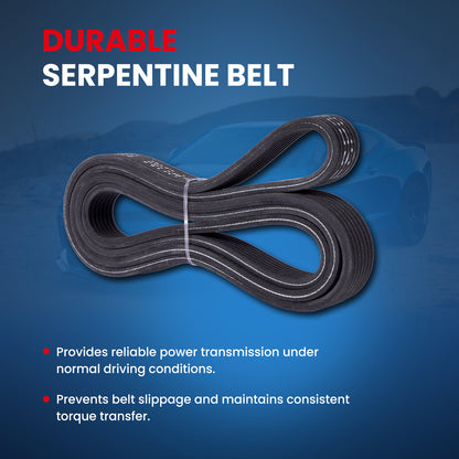 MOCA Serpentine Belt - ESP0498