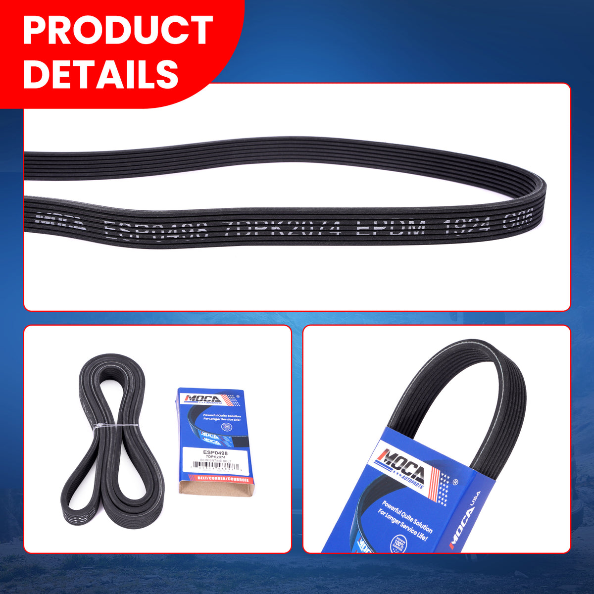 MOCA Serpentine Belt - ESP0498