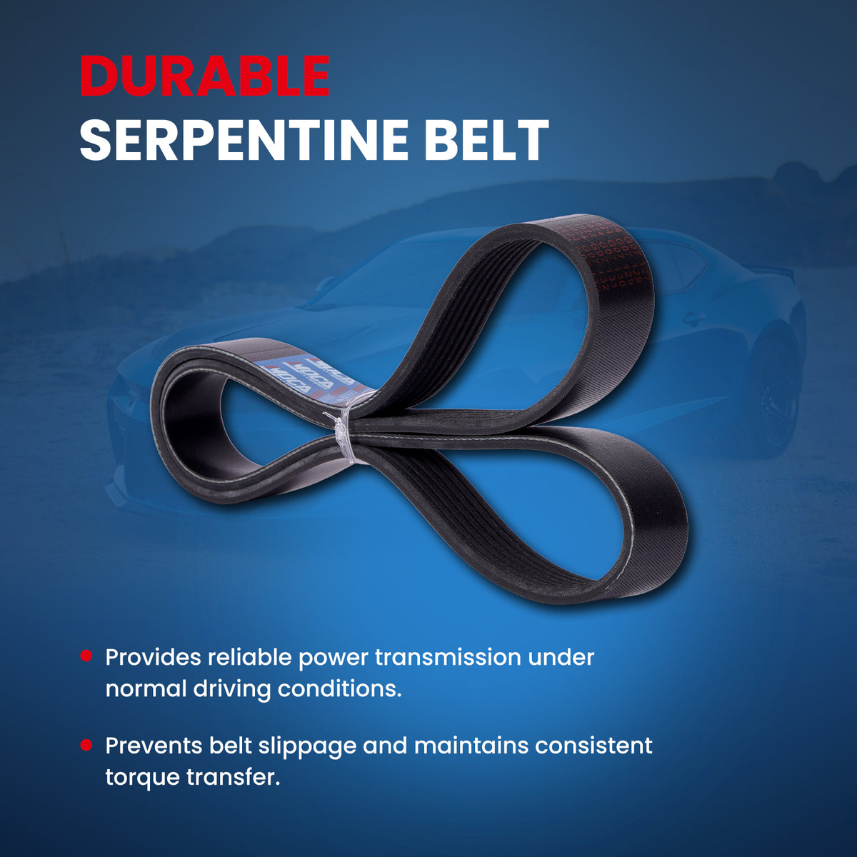 MOCA Serpentine Belt - ESP0499