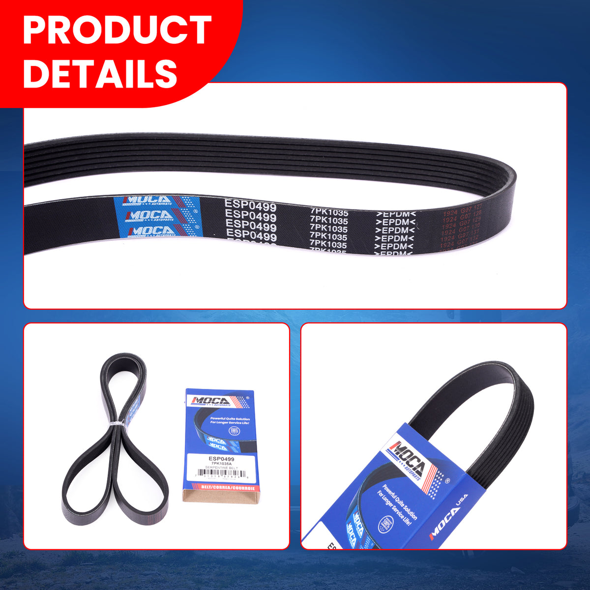 MOCA Serpentine Belt - ESP0499