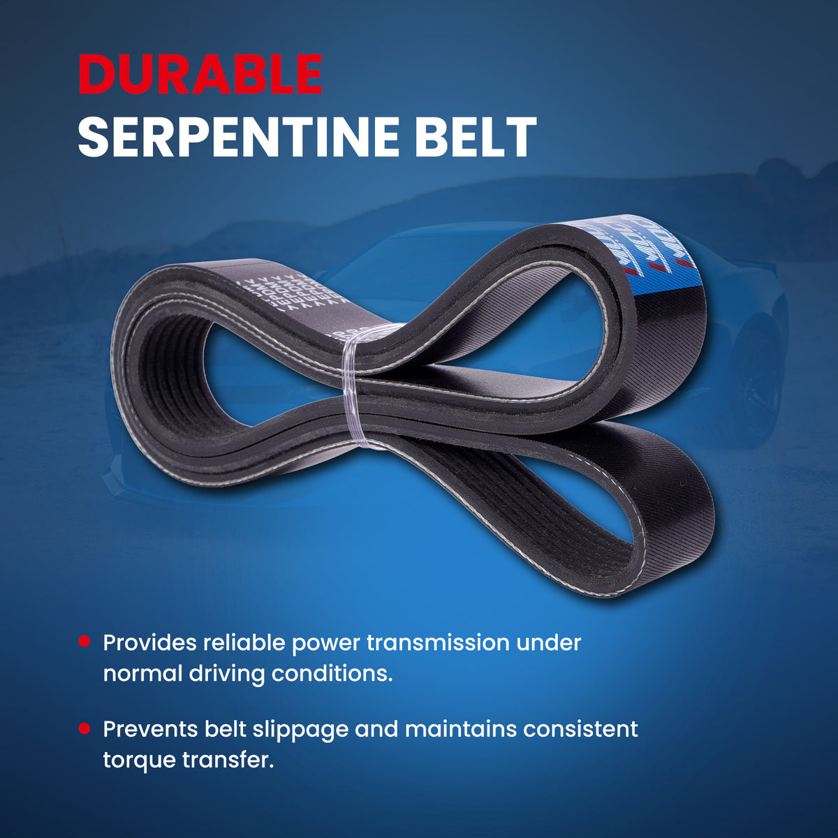 MOCA Serpentine Belt - ESP0500