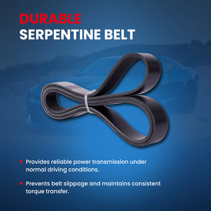 MOCA Serpentine Belt - ESP0501
