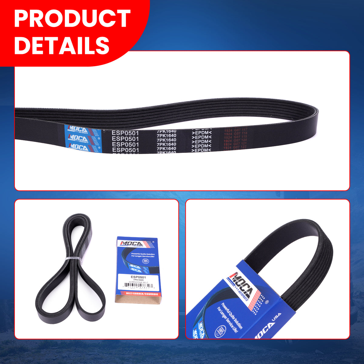 MOCA Serpentine Belt - ESP0501