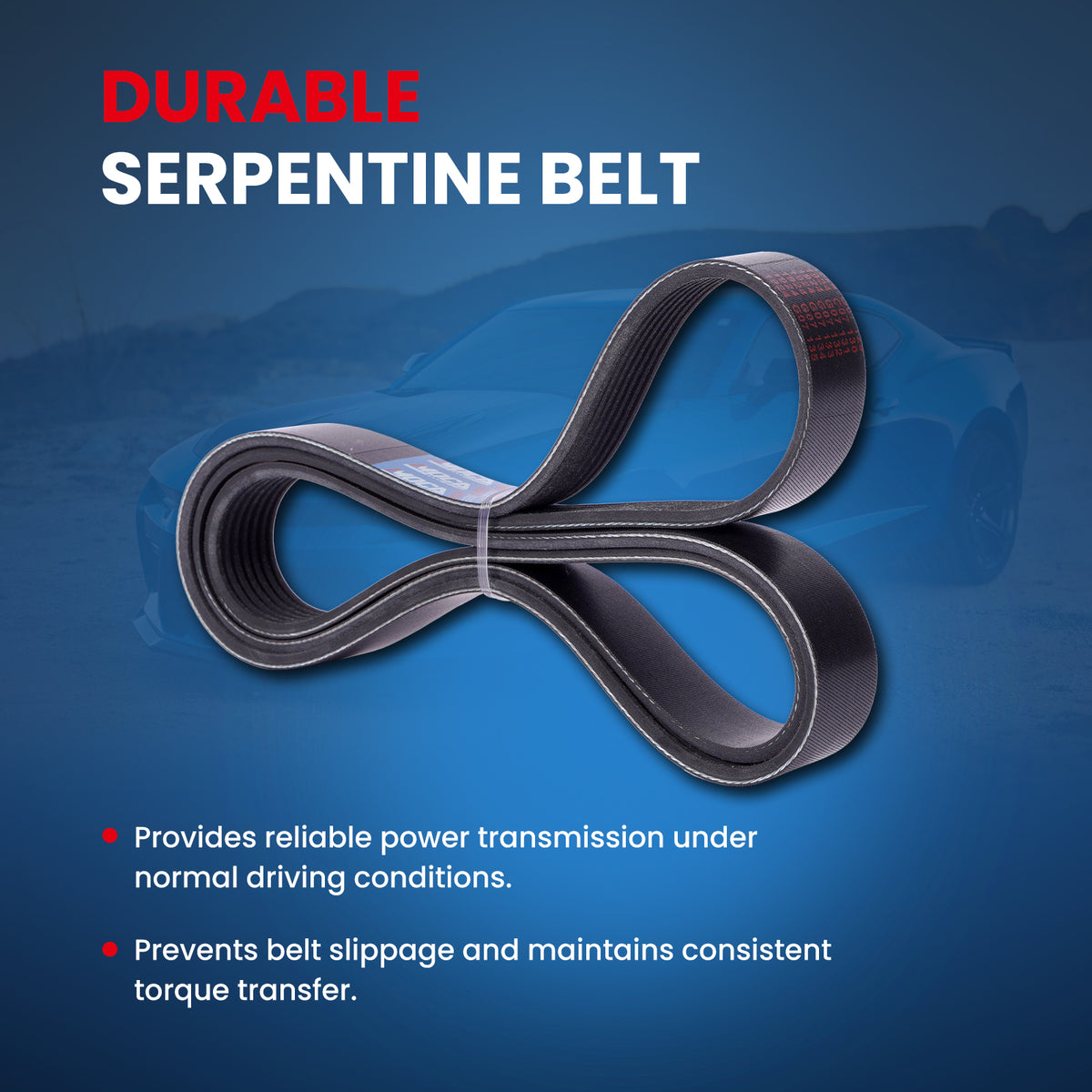 MOCA Serpentine Belt - ESP0502