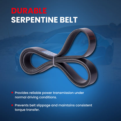 MOCA Serpentine Belt - ESP0502