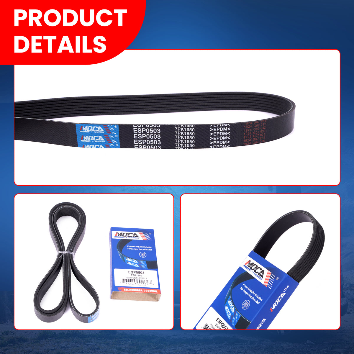MOCA Serpentine Belt - ESP0503