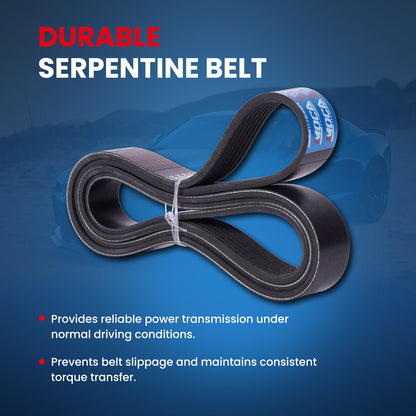 MOCA Serpentine Belt - ESP0504
