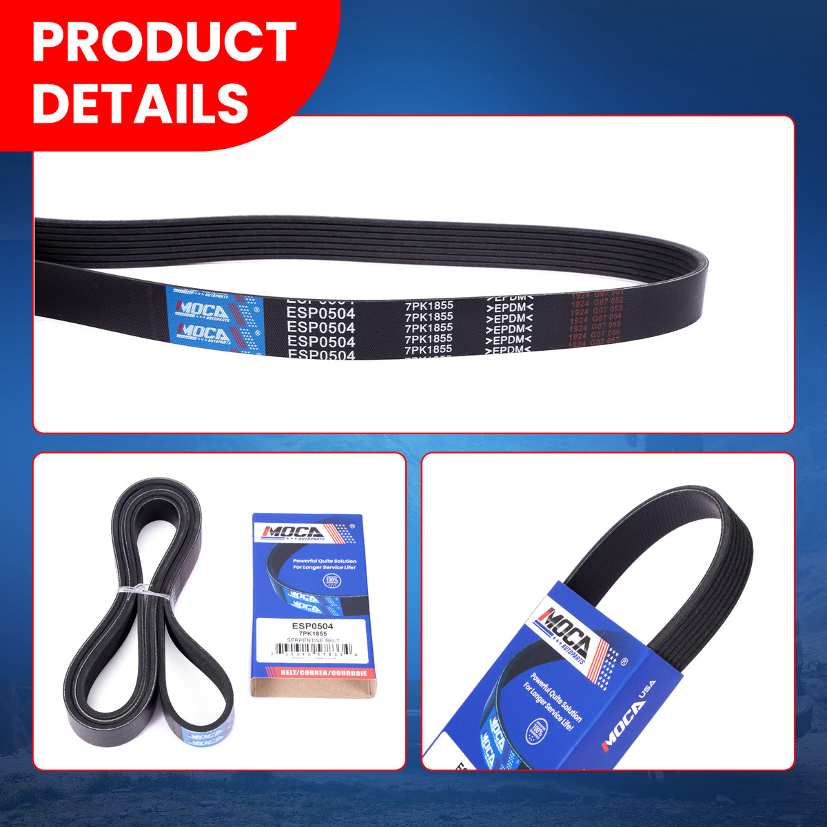 MOCA Serpentine Belt - ESP0504