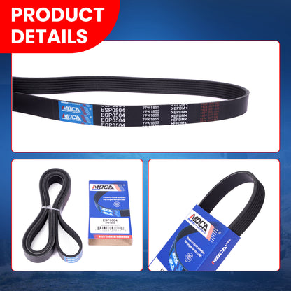 MOCA Serpentine Belt - ESP0504