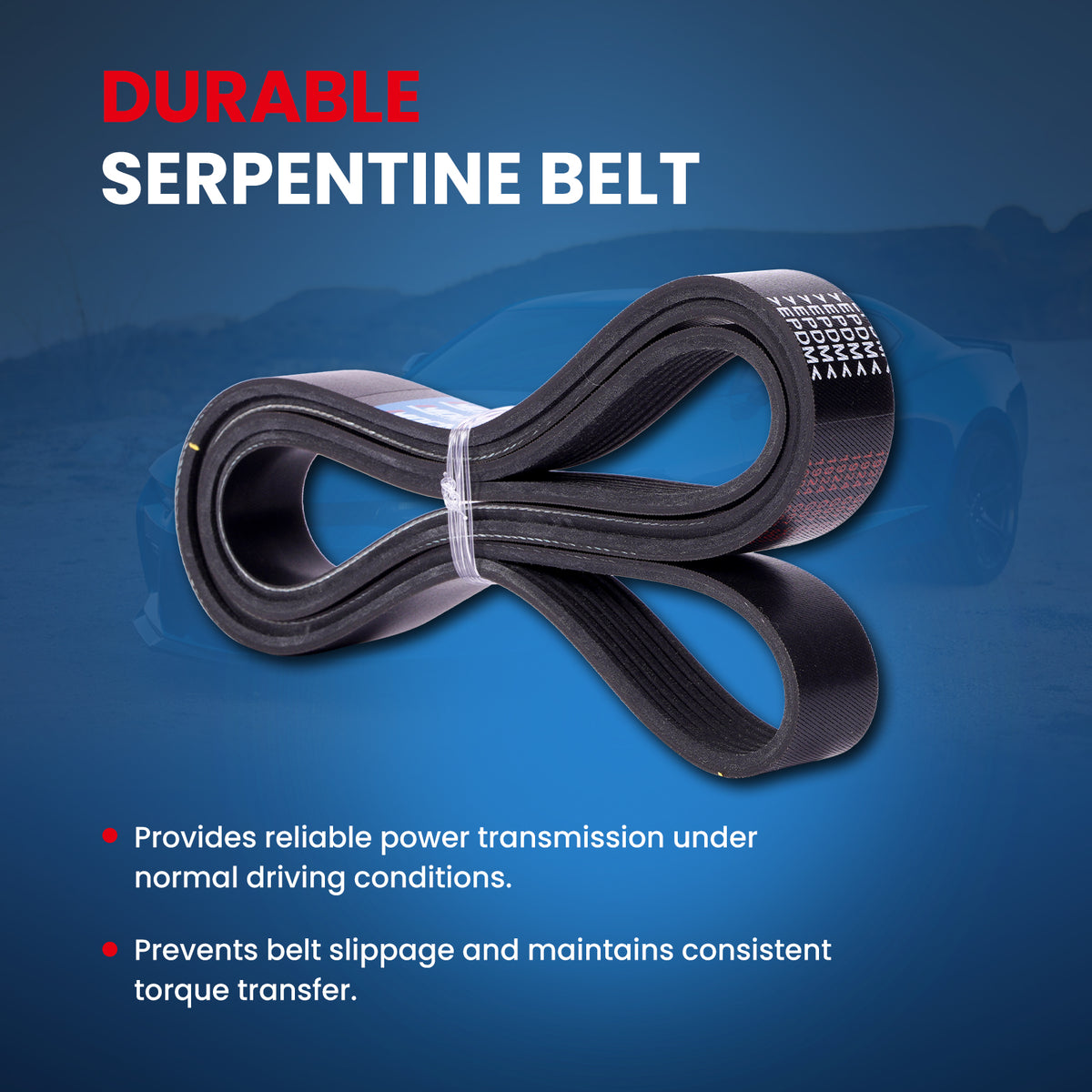 MOCA Serpentine Belt - ESP0505