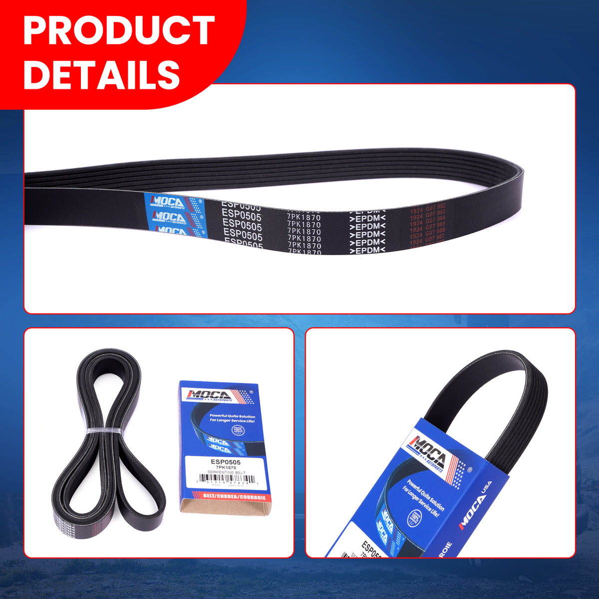 MOCA Serpentine Belt - ESP0505