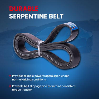 MOCA Serpentine Belt - ESP0506