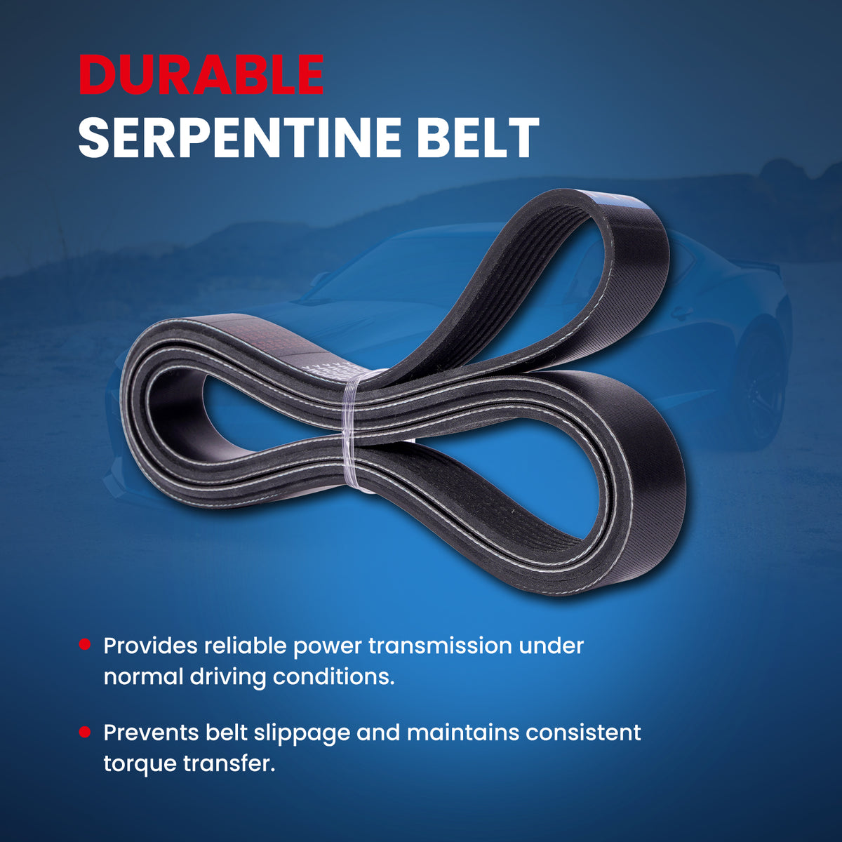 MOCA Serpentine Belt - ESP0507