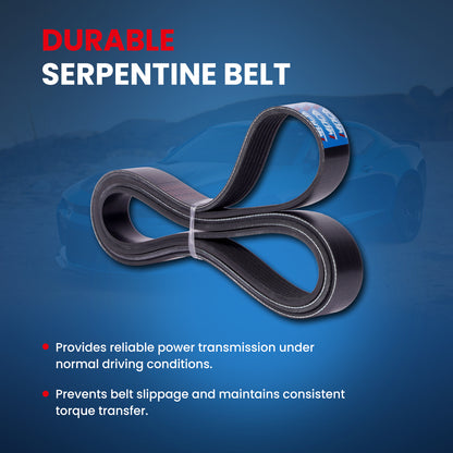 MOCA Serpentine Belt - ESP0508