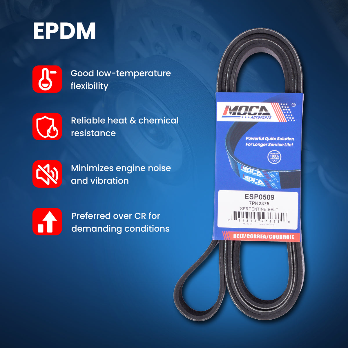 MOCA Serpentine Belt - ESP0509