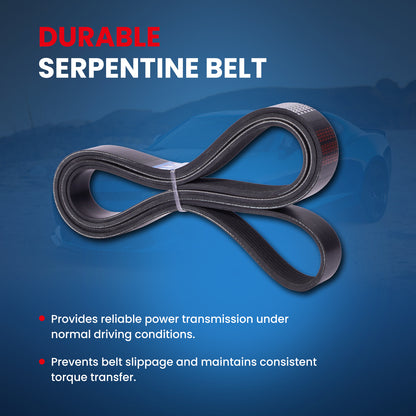 MOCA Serpentine Belt - ESP0509