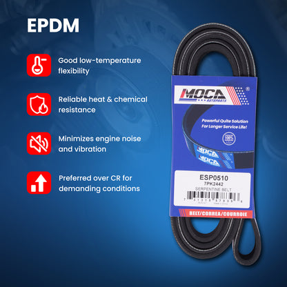 MOCA Serpentine Belt - ESP0510