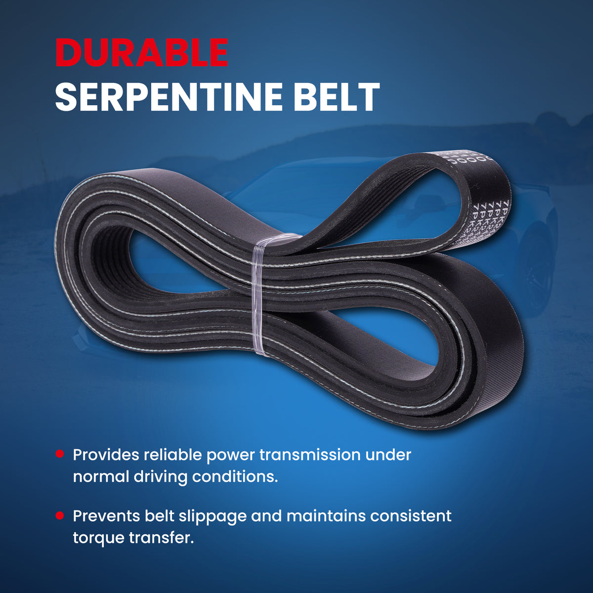 MOCA Serpentine Belt - ESP0510