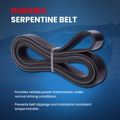 MOCA Serpentine Belt - ESP0510