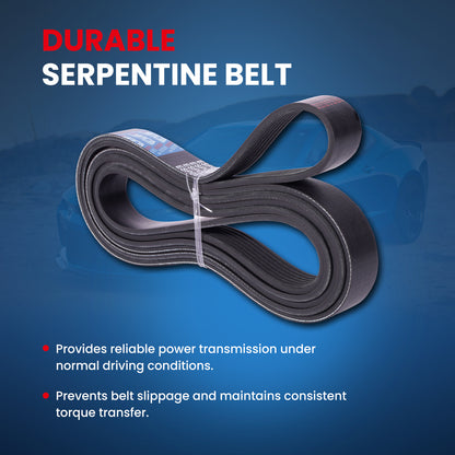 MOCA Serpentine Belt - ESP0511