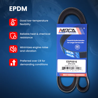 MOCA Serpentine Belt - ESP0516