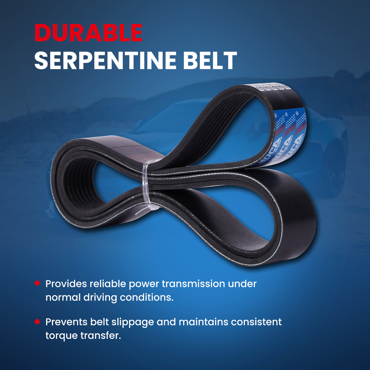 MOCA Serpentine Belt - ESP0516