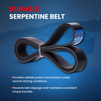 MOCA Serpentine Belt - ESP0516