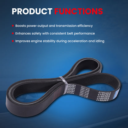 MOCA Serpentine Belt - ESP0517