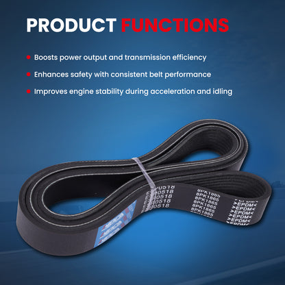 MOCA Serpentine Belt - ESP0518