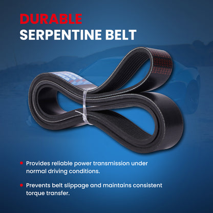 MOCA Serpentine Belt - ESP0518