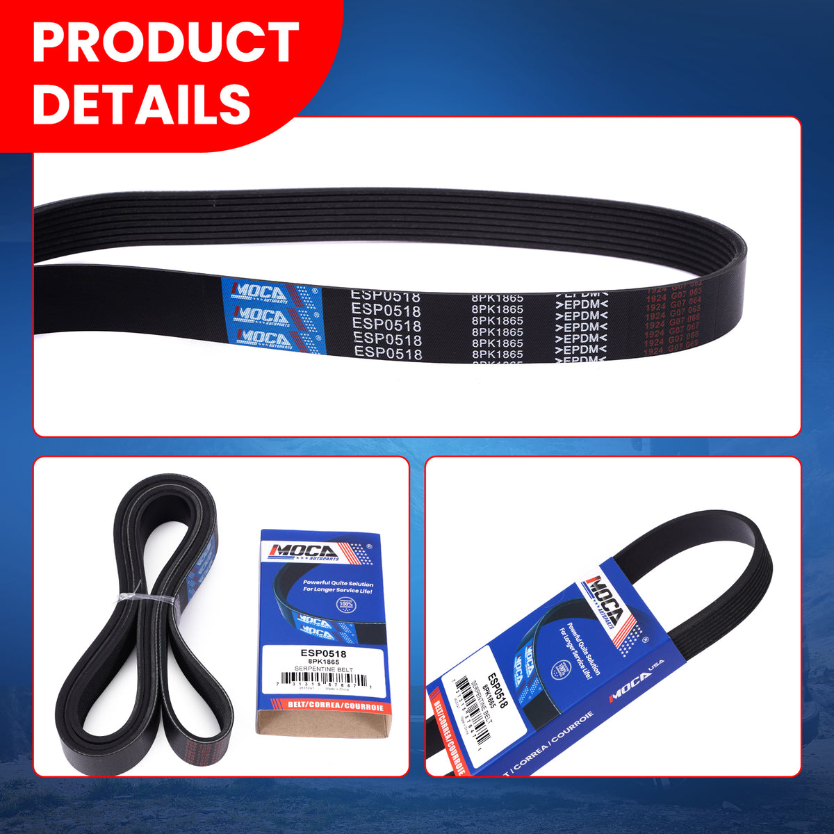 MOCA Serpentine Belt - ESP0518