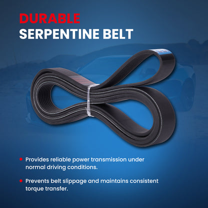 MOCA Serpentine Belt - ESP0519