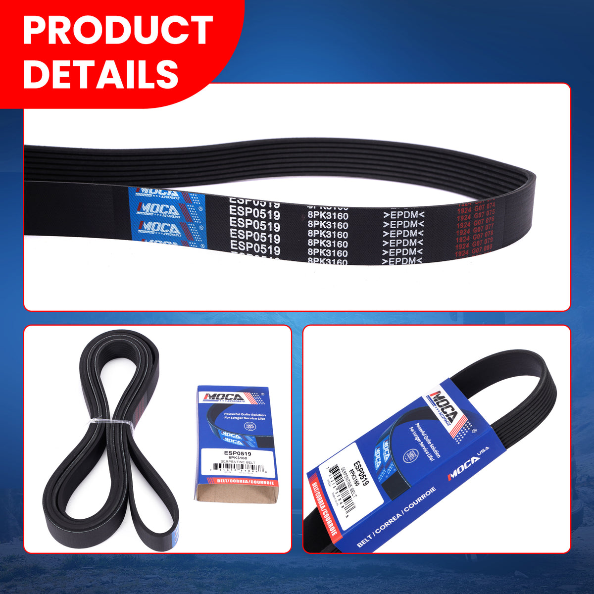 MOCA Serpentine Belt - ESP0519