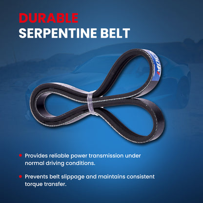 MOCA Serpentine Belt - ESP0520