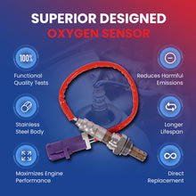 MOCA Oxygen Sensor - OS5154