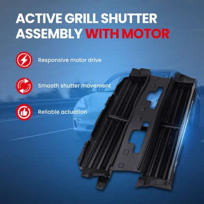 MOCA Grille Air Intake - RSA4968