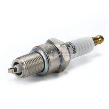 MOCA Spark Plugs - SP6066