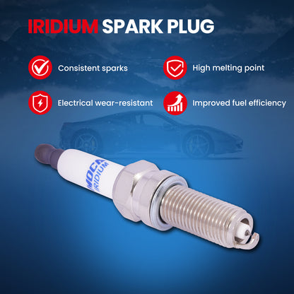 MOCA Spark Plugs - SP6216
