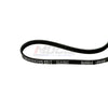 3PC MOCA Serpentine Belt for 2001-2006 Hyundai Elantra 2.0L & 2003-2008 Hyundai Tiburon 2.0L & 2005-2006 Hyundai Tucson 2.0L