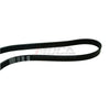 EPDM Serpentine Belt Fits 96-98 Pontiac 4-Door 2.4L 2392CC l4 GAS DOHC 5PK1205