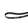 EPDM Serpentine Belt 7PK1655 Fits 02-05 Honda Civic Si SiR 2.0L GAS DOHC